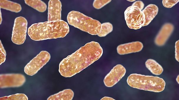 Enterobacterbacteriën, gramnegatieve staafvormige bacteriën, deel van normaal microbioom van de darm en oorzakelijke agentia van ziekenhuisverkopende nosocomiale antibioticaresistente infecties, 3D-illustratie - Foto, afbeelding