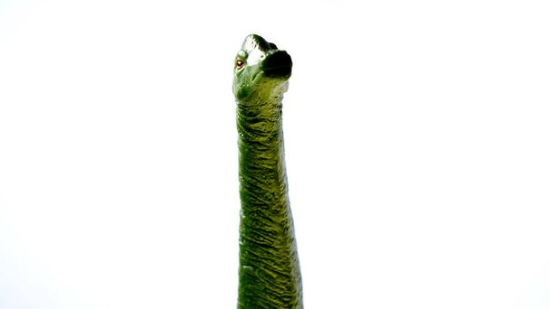 A green toy brachiosaurus isolated on a white background - Fotoğraf, Görsel