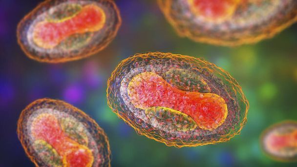 Molluscum contagiosum virus, 3D-kuva. Poxvirus-perheen virus aiheuttaa ihoinfektion, jossa on lukuisia pieniä koholla olevia vaurioita - Valokuva, kuva
