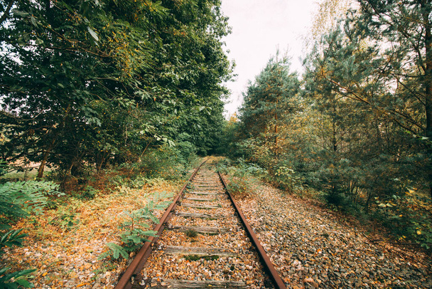 A railroad constructed in the middle of the forest in autumn - Fotografie, Obrázek