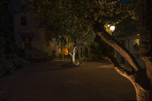 Bahçede ağaçlarla çekilmiş manzaralı bir fotoğraf ve gece boyunca konut evlerinin salıncakları. - Fotoğraf, Görsel