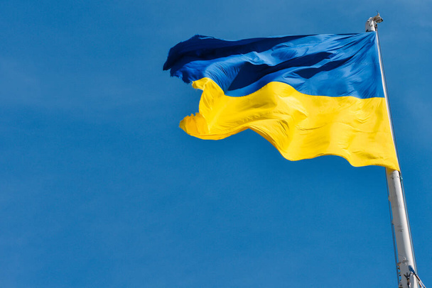 A closeup of the Ukrainian flag with a cloudless blue sky background - 写真・画像