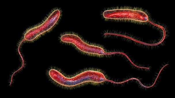 Bacterias Del Coleraイメージ 写真素材との写真bacterias Del Colera