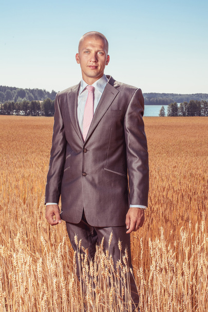 Businessman standing in a field - Фото, зображення