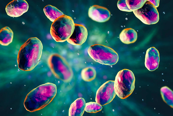 Yersinia pseudotuberculosis bacteria, 3D-ілюстрація. Грам-негативні бактерії родини Enterobacteriaceae, причинний агент Yersiniosis, на Далекому Сході, червона гарячка. - Фото, зображення
