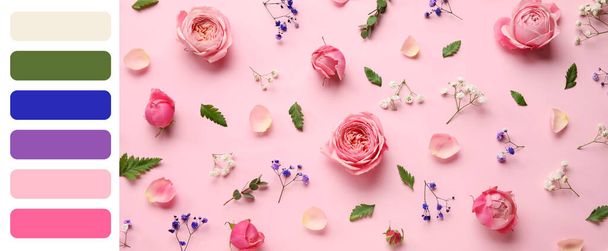 Komposition mit schönen Blumen auf rosa Hintergrund. Unterschiedliche Farbmuster - Foto, Bild