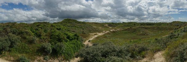 緑の植生を持つ北海の砂丘風景の上のパノラマビュー,ブレイ-Dunes,フランス - 写真・画像
