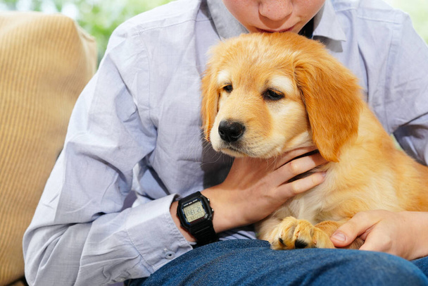 Altın Hovawart şirin köpek yavrusu. Odada genç bir çocukla şirin bir köpek resmi. Bir çocuğun kollarında dinlenen mutlu şirin köpek yavrusu, bir rüya gerçek oluyor. Golden Retriever tatlı köpek yavrusu - Fotoğraf, Görsel