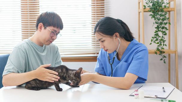 Έννοια φροντίδας κατοικίδιων ζώων, Θηλυκό στηθοσκόπιο κτηνιατρικής χρήσης για τον έλεγχο της υγείας της γάτας στην κτηνιατρική κλινική. - Φωτογραφία, εικόνα