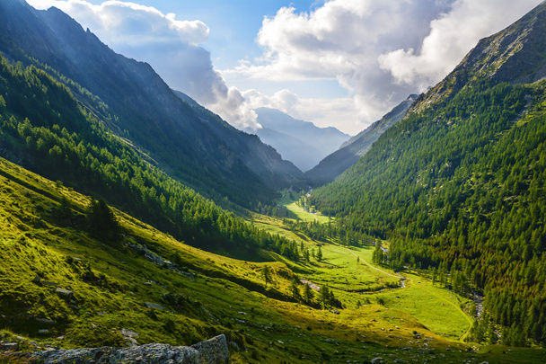 Paysage alpin - Photo, image