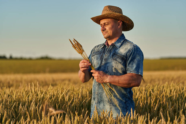 Farmer in straw hat in a field of ripe wheat at sunset - Φωτογραφία, εικόνα