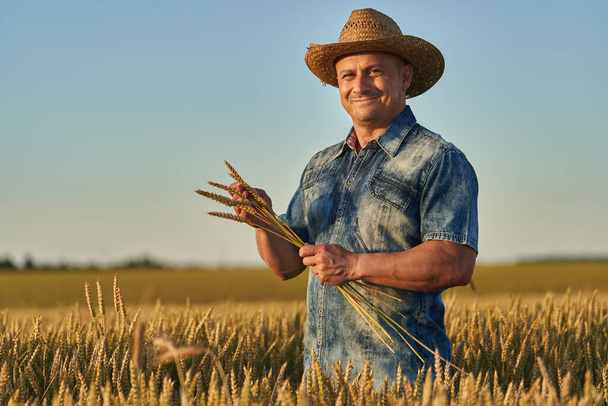 Farmer in straw hat in a field of ripe wheat at sunset - Фото, изображение