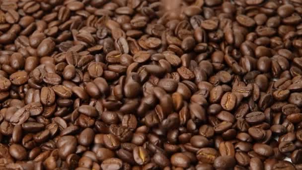 Granos de café tostados, granos de café marrón  - Metraje, vídeo