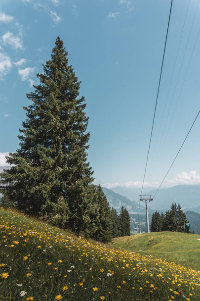 A vertical shot of the blue sky over Switzerland Falera Graubunden Grisons in summer - Fotografie, Obrázek