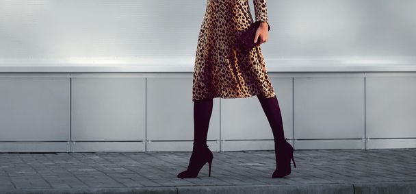 Concept de mode rue - élégante femme élégante en robe léopard
  - Photo, image