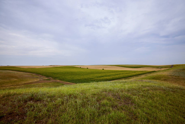 vegyes mezőgazdasági területek búzával és napraforgóval - Fotó, kép