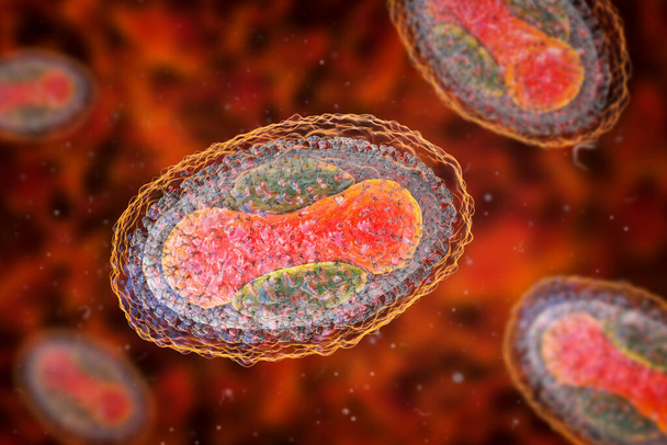 Virus Molluscum contagiosum, illustration 3D. Un virus de la famille des Poxvirus, provoque une infection cutanée avec de nombreuses petites lésions surélevées - Photo, image