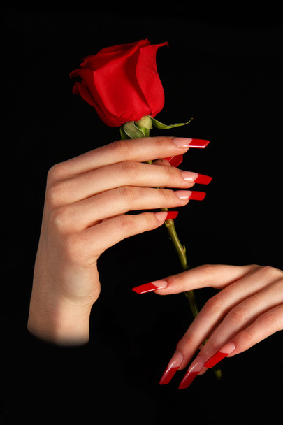 Beautiful hands with french manicure on black background - Zdjęcie, obraz