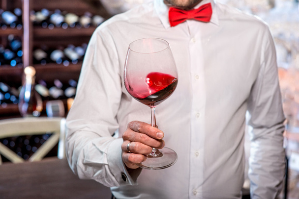 Sommelier in the wine cellar - Photo, Image