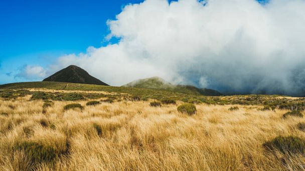 A beautiful view of the famous Mount Taranaki in New Zealand - Zdjęcie, obraz