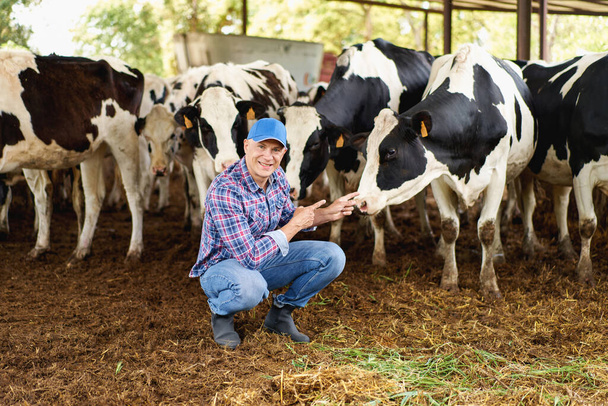 glücklicher Cowboy auf Viehfarmen - Foto, Bild