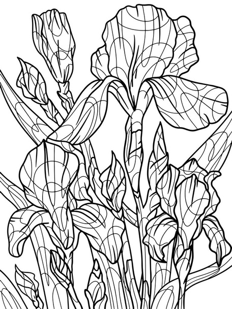 Λουλούδι Άιρις, φυτό. Φυτό με μεγάλα φύλλα. Σελίδα περίγραμμα των κινουμένων σχεδίων. Raster εικονογράφηση, χρωματισμός βιβλίο για τα παιδιά. Στυλ Zen-κουβάρι. Χειροκίνητη κλήρωση - Φωτογραφία, εικόνα