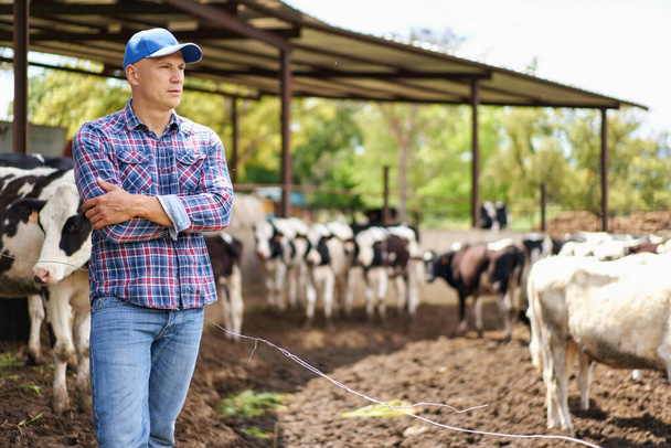 Man cowboy at cow farm ranch - Photo, image
