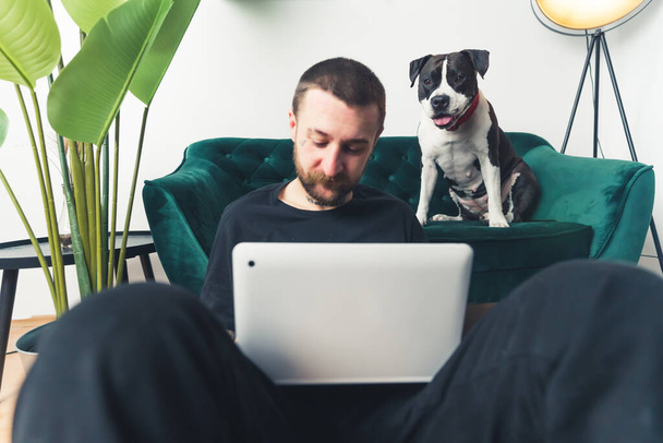 ασπρόμαυρο σκυλί του 'μσταφ παρακολουθεί έναν νεαρό Καυκάσιο να δουλεύει σε φορητό υπολογιστή με μεσαίο φόντο, με πλήρη εικόνα απομακρυσμένης εργασίας. Υψηλής ποιότητας φωτογραφία - Φωτογραφία, εικόνα