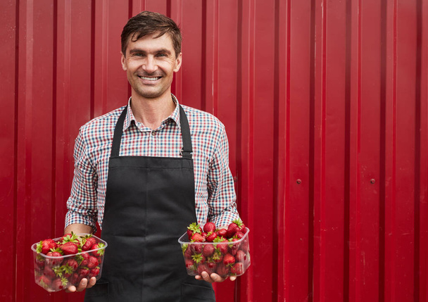 Friendly adult man in checkered shirt and apron with plastic containers with fresh strawberries smiling, and looking at camera while standing near red metal wall during harvest on farm - Фото, зображення