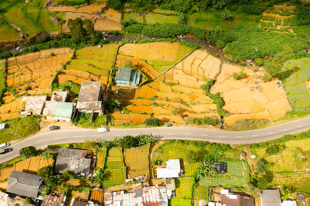 Ένα χωριό στα βουνά ανάμεσα σε αγροτικές εκτάσεις και φυτείες τσαγιού. Nuwara Eliya, Σρι Λάνκα. - Φωτογραφία, εικόνα
