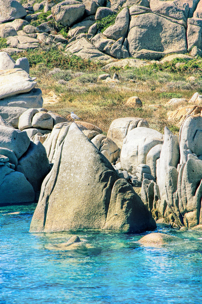 Les îles Lavezzi littoral rocheux
 - Photo, image