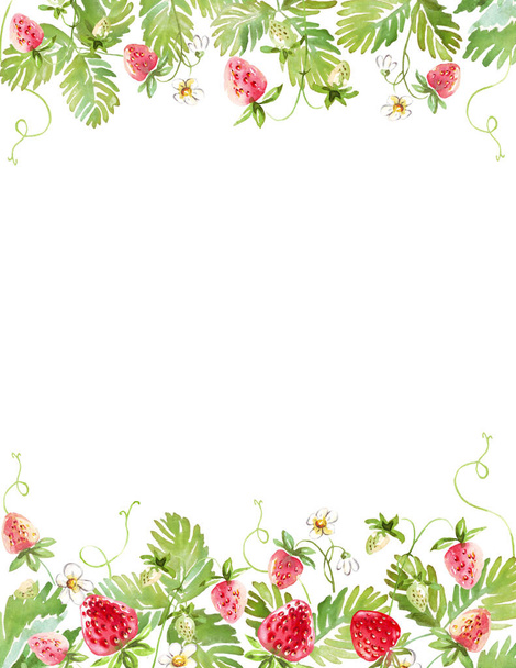 Strawberry frame. Watercolor clipart - Photo, Image