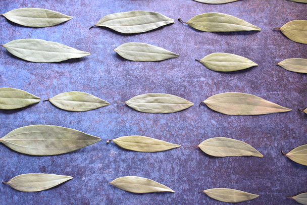 Raw whole dried Bay leaf - Photo, Image