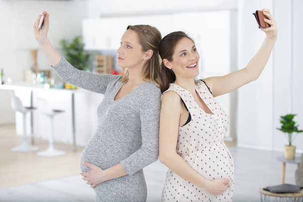 pregnant friends taking selfie with smartphone - 写真・画像
