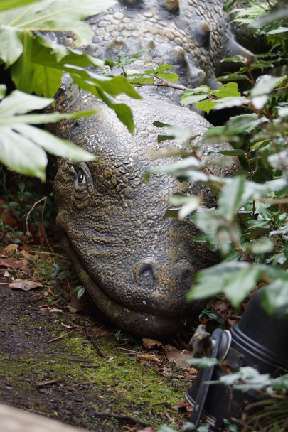 Panoplosaurus - Photo, Image