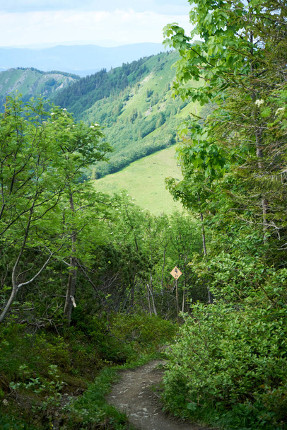 Natural landscape in the foothills of the High Tatras in the north of Slovakia in early summer with wide valleys and green meadows. - Φωτογραφία, εικόνα