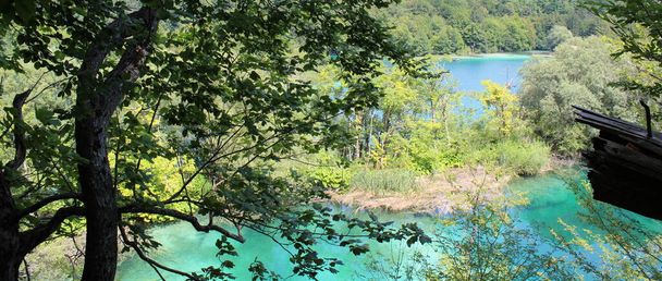 Lake in the nature park in summer - Fotoğraf, Görsel