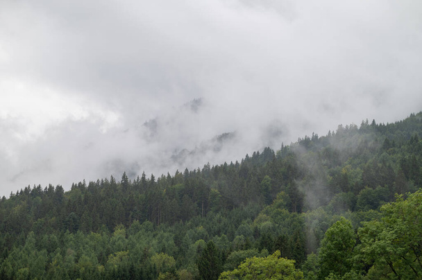 Μια όμορφη θέα ενός ομιχλώδους δάσους στις Βαυαρικές Άλπεις στη Νότια Γερμανία - Φωτογραφία, εικόνα