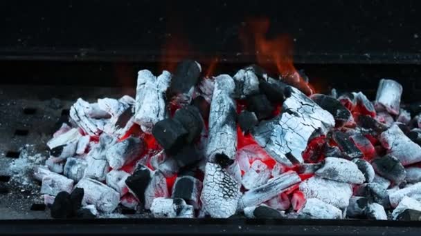 het bereiden van de barbecue vuur voor het koken - Video