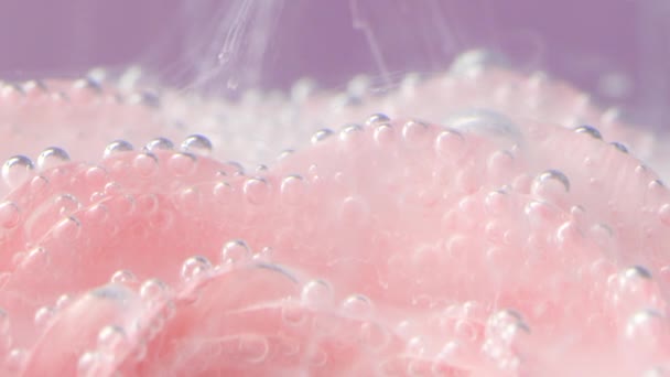 Közelkép a ködről Rose-on. Készletfelvétel. Finom rózsaszirmok buborékokkal és tintával. Finom tinta mozog rózsa szirmok között a víz alatt.  - Felvétel, videó