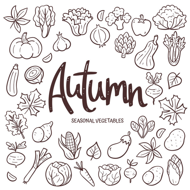Fondo de verduras de temporada. Composición de verduras de otoño dibujadas a mano hechas de iconos vectoriales de garabatos, aisladas sobre fondo blanco. - Vector, Imagen