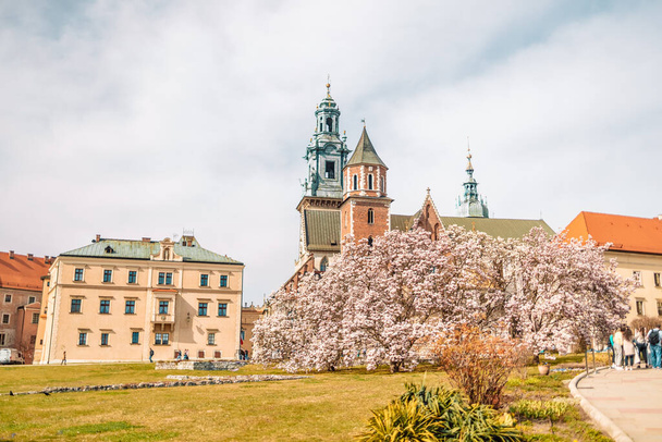 Vista de verano del complejo del Castillo Real de Wawel en Cracovia - Foto, imagen