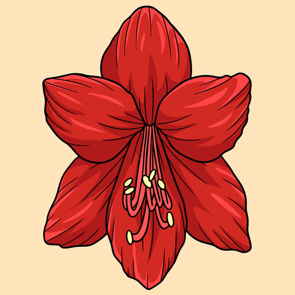 Αυτή η εικονογράφηση κινουμένων σχεδίων δείχνει μια απεικόνιση λουλουδιών amaryllis. - Διάνυσμα, εικόνα