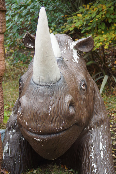Nosorožec srstnatý - Nosorožec srstnatý antiquitatis - Fotografie, Obrázek