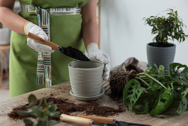 Woman filling flowerpot with soil at table indoors, closeup. Houseplant care - Foto, Imagem
