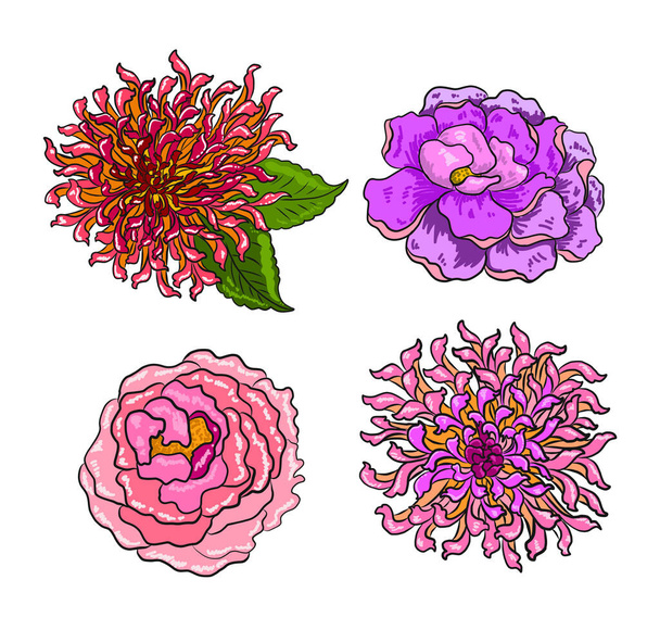 Set of flower vector for painting on background.Peony for printing on curtain.Traditional  Asian floral illustration for embroidery style.chrysanthemum vector.Beautiful line art for summer. - Vector, Image