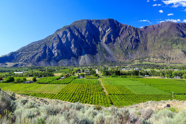 Canadian landscape of agrucultural fields and orchards in the Similkameen Valley located in Keremeos, British Columbia, Canada. - Photo, Image