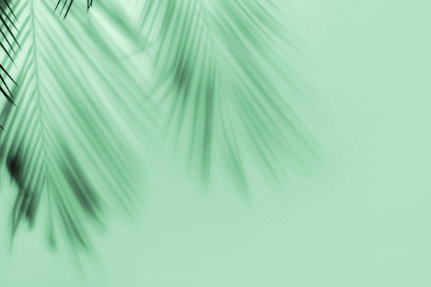 Shadow of tropical leaves on mint background  - Photo, Image