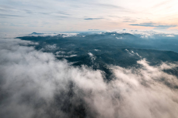 высокий угол обзора в утреннем зеленом лесу и тумане, высокий угол обзора - Фото, изображение