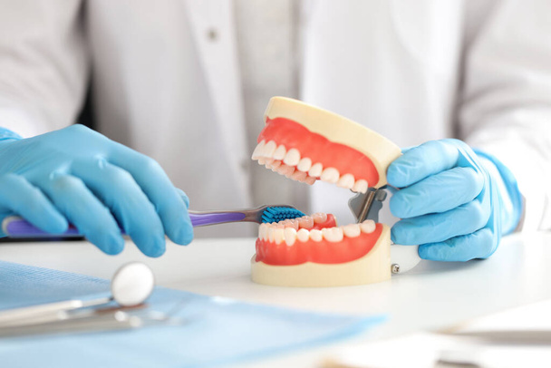 Οδοντίατρος με ανθρώπινο σαγόνι και οδοντόβουρτσα. Έννοια της στοματικής φροντίδας - Φωτογραφία, εικόνα